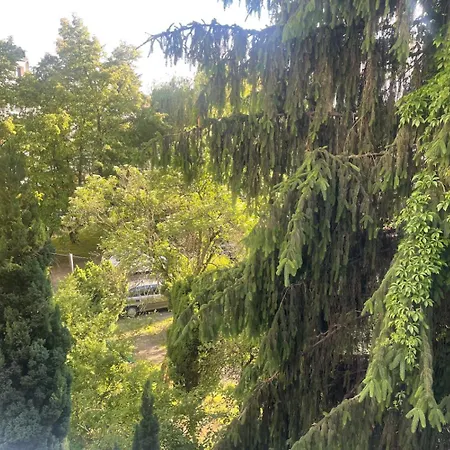 Room, комната, Miedzy Airport Wro A Centrum Apartment *